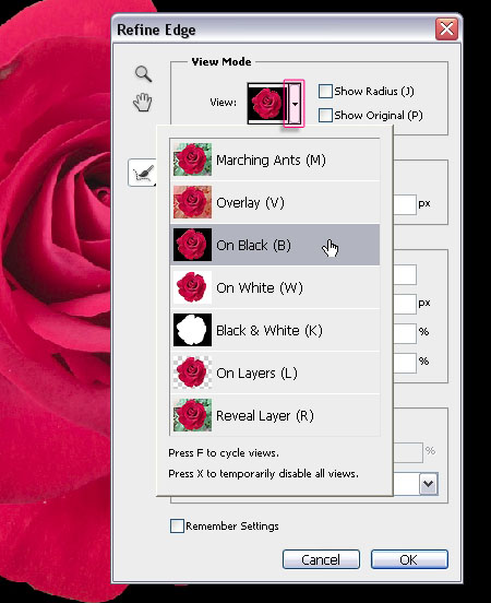 Velvet Roses Text Effect step 4