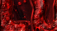 Bloody200
