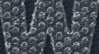 BubbleWrap200