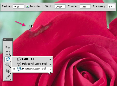 Velvet Roses Text Effect step 3